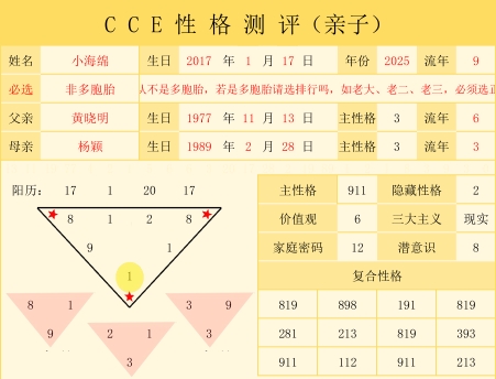 CCE分析系统-亲子版（案例）