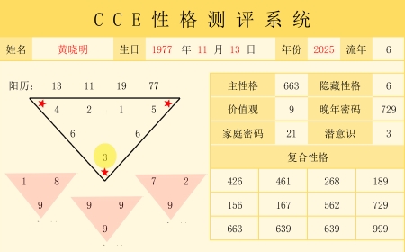 CCE分析系统-性格版（案例）