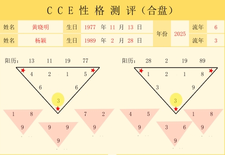 CCE分析系统-合盘版（案例）